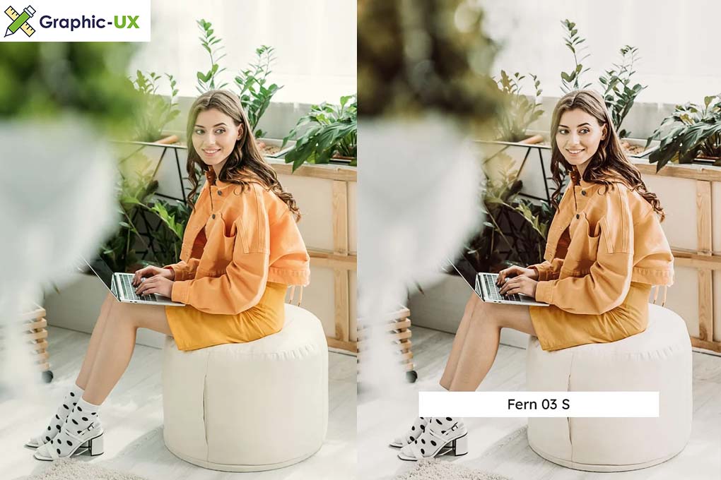 20 Aloe Vera Lightroom Presets & LUTs